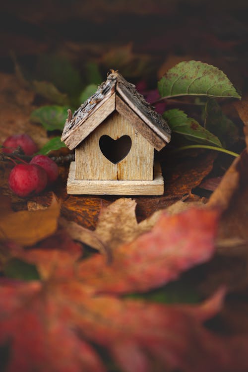 Close-Up Photo of a Birdhouse Near Leaves