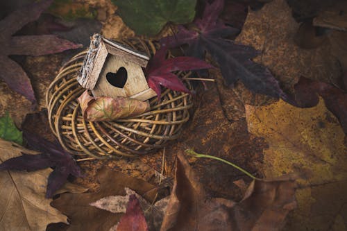 Small Bird House in a Basket Lying on Fallen Leaves