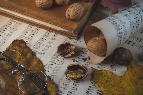 Walnuts and Leaves on Papers with Music Scores