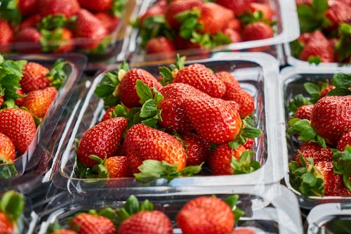 Free Close-Up Photography of Strawberries on Plastic Container Stock Photo
