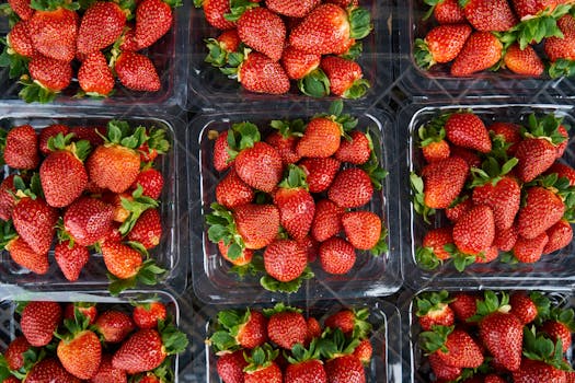 Aerial view of fresh, juicy strawberries neatly arranged in plastic containers, showcasing vibrant red and green colors.