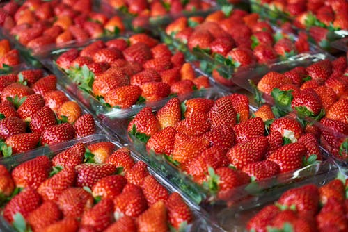 Free Close-Up Photo of Strawberries on Plastic Container Stock Photo