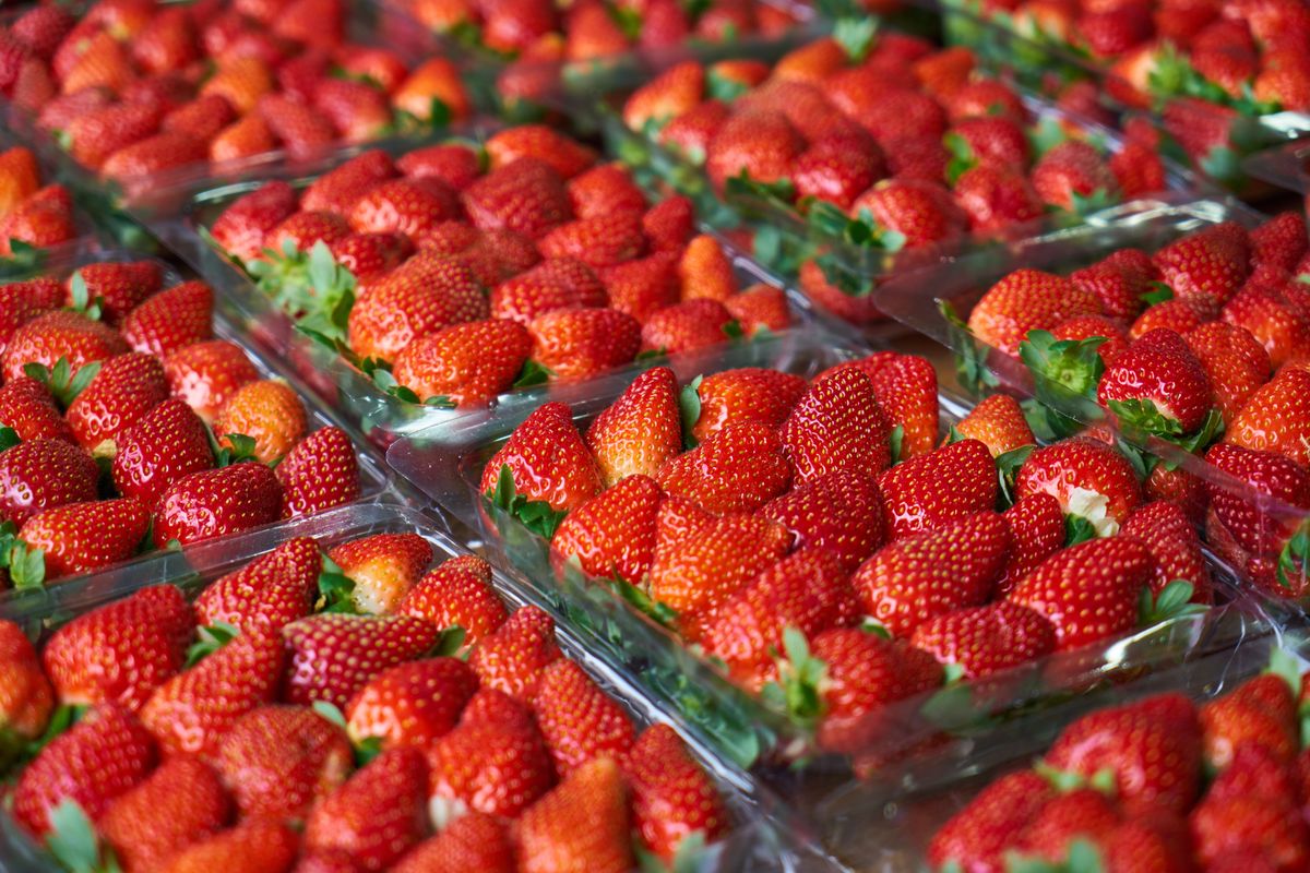 Close-up of fresh red strawberries packed in a transparent container