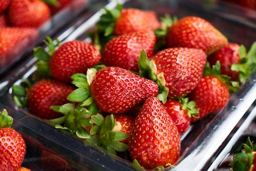 Free Selective Focus Photography of Strawberries Stock Photo