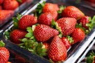 透明塑料容器中，成熟草莓的特写镜头展现了其充满活力的新鲜感和多汁的吸引力