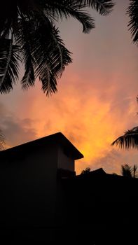 Beautiful sunset with palm tree silhouettes in Alappuzha, India, capturing the essence of the golden hour.
