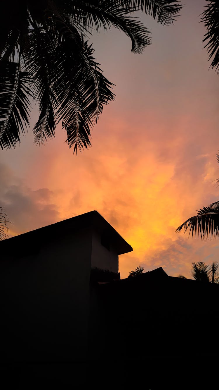 Silhouette Of Palm Trees Near A House During Sunset