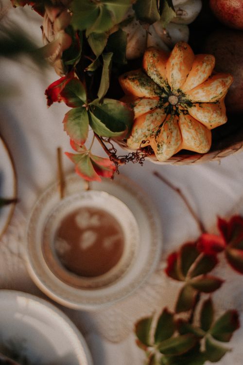 Free Warm and cozy autumn table featuring coffee, decorative gourds, and fall foliage. Stock Photo