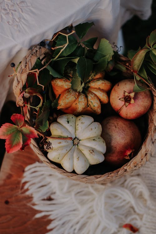 Foto profissional grátis de abóboras, alimento, cesta tecida