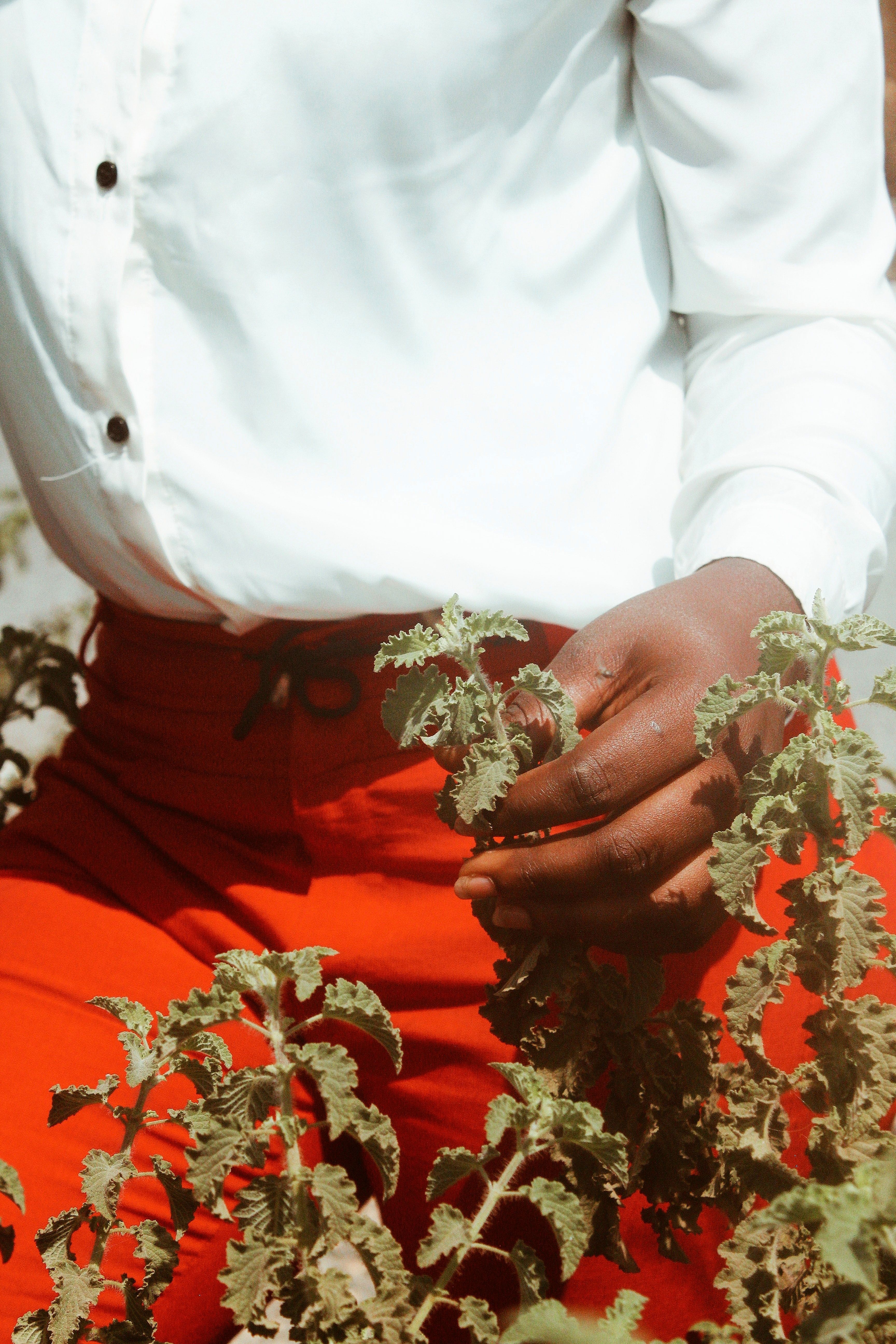 A person holds a plant while dressed in bright attire, showcasing natural connection.