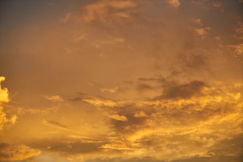 Foto profissional grátis de amarelo, atmosfera, atraente