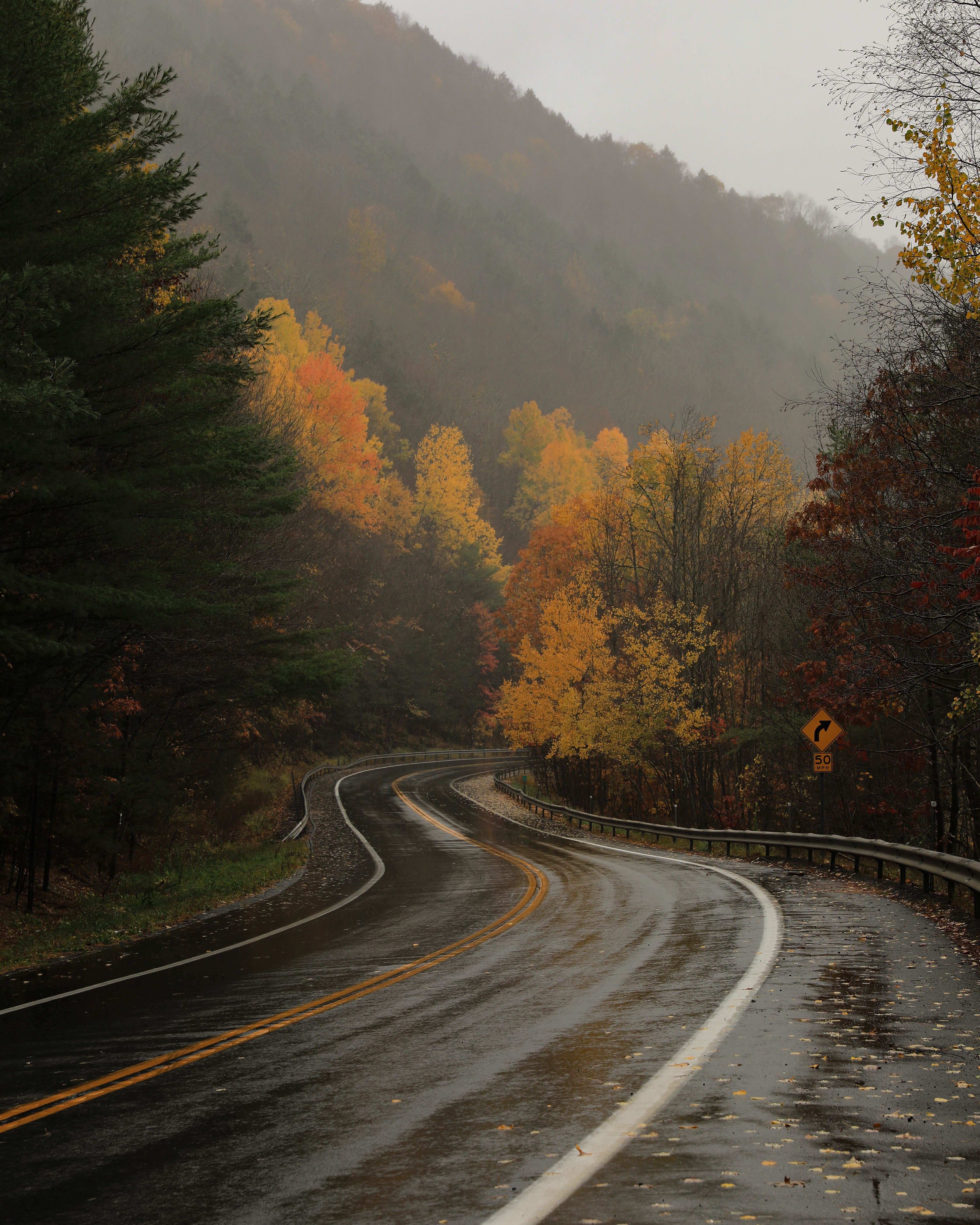 Glistening wet road winding through a misty autumn forest with vibrant fall foliage.