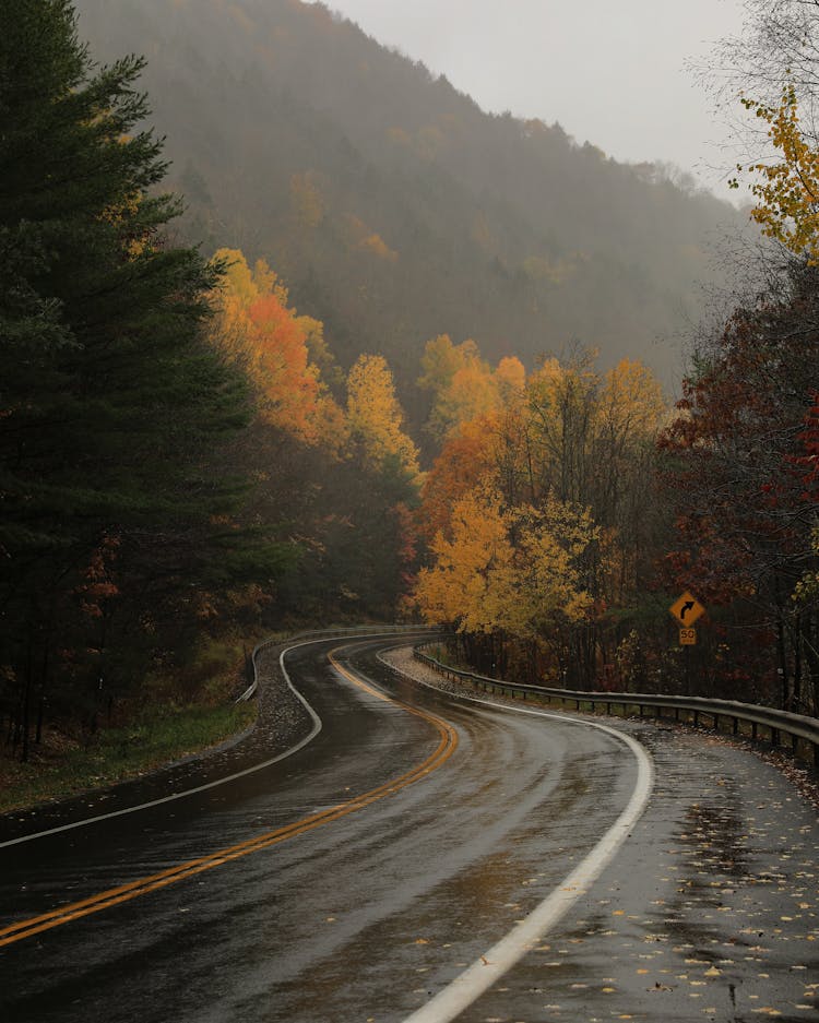 Mountains Landscape With Wet Road