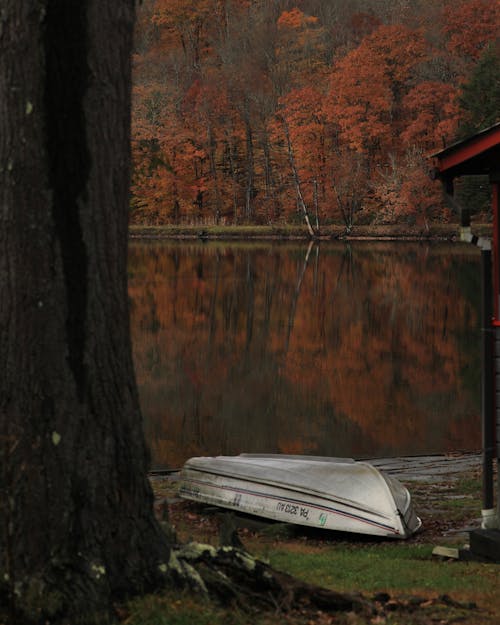 Foto profissional grátis de árvores, barco de pesca, cênico