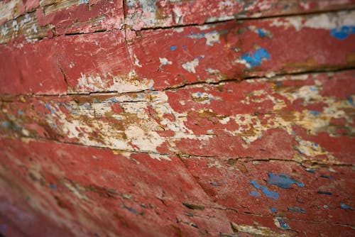 Foto profissional grátis de barco, conhecimento, de madeira