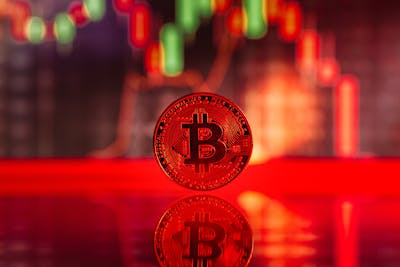 Bitcoin's Volatile Ride: What's Next After a $69,000 Surge?