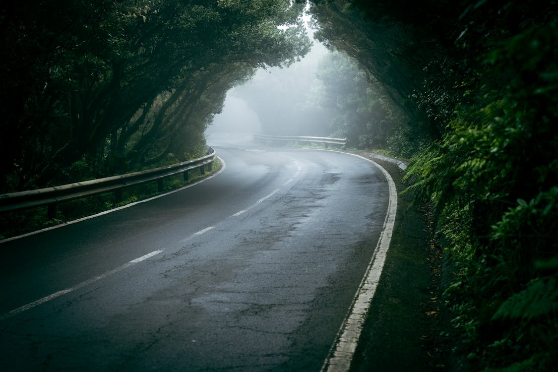 Asphalt Road During a Foggy Day