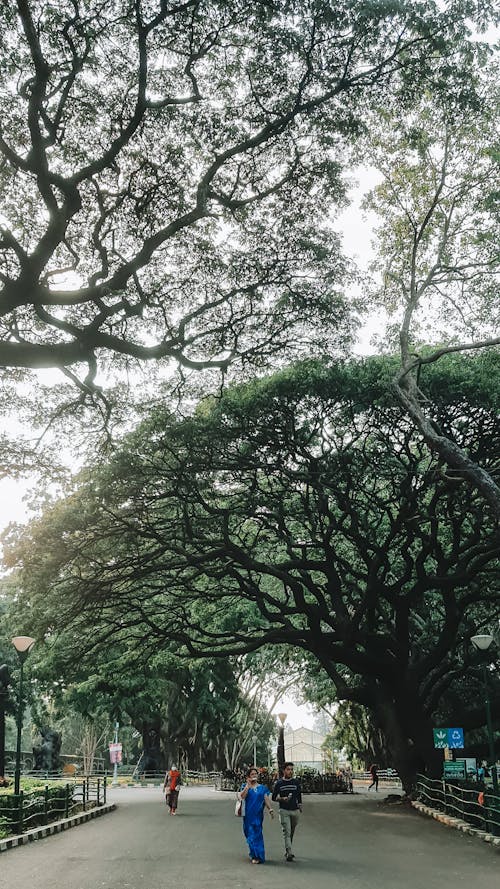 Základová fotografie zdarma na téma bangalore, fotograf, fotografie