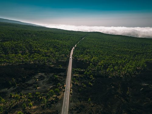 Free Aerial shot of a road through a green forest under clear blue skies. Stock Photo