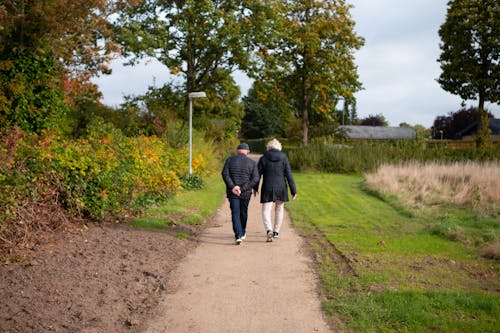 Back View of People Walking in a Farm Road