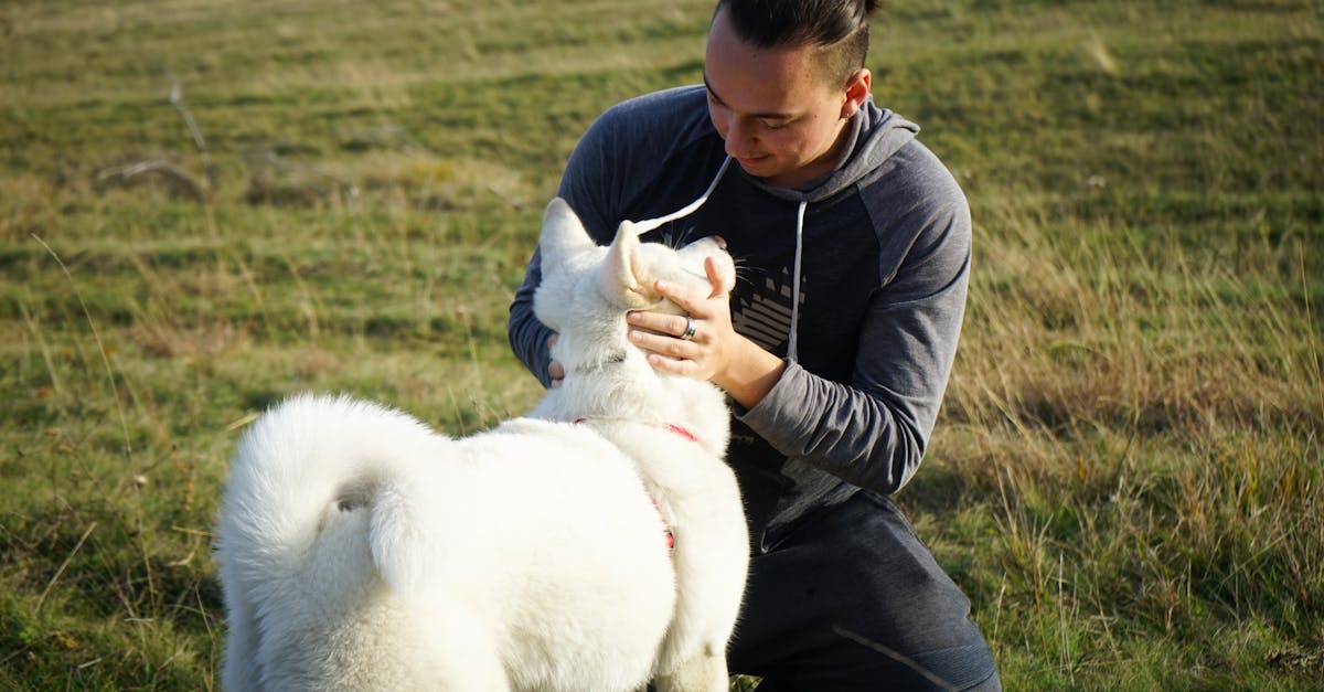 Examining the Future of AI Companions