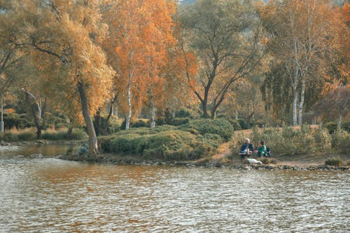 A Couple Sitting Near Body of Water During Autumn