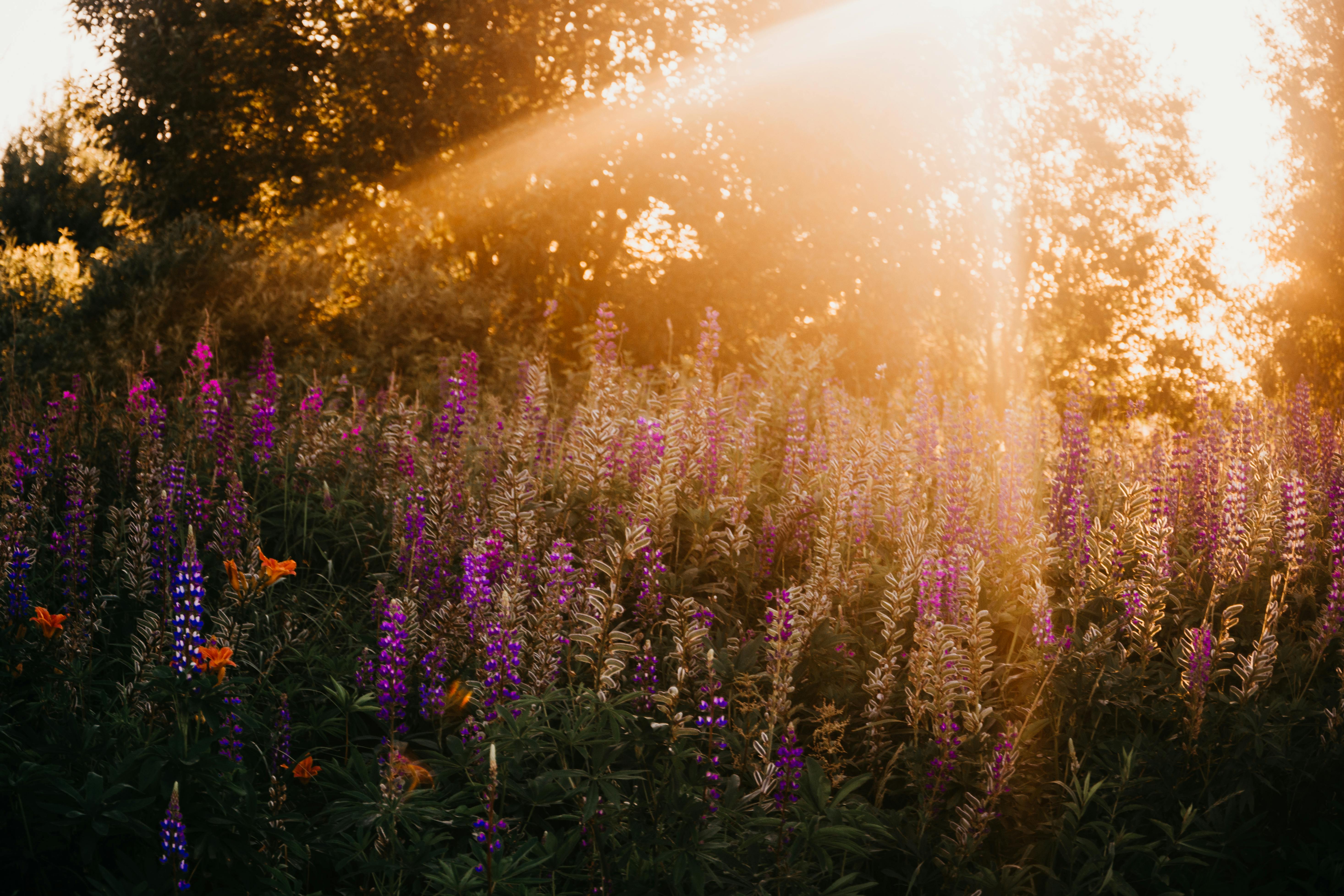 Whatever They Told You About Best Seo Expert In India Is Dead Wrong...And Here's Why