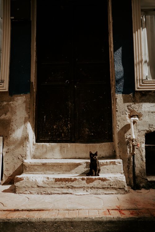 Free A solitary black cat sits on weathered concrete stairs in a rustic urban setting. Stock Photo