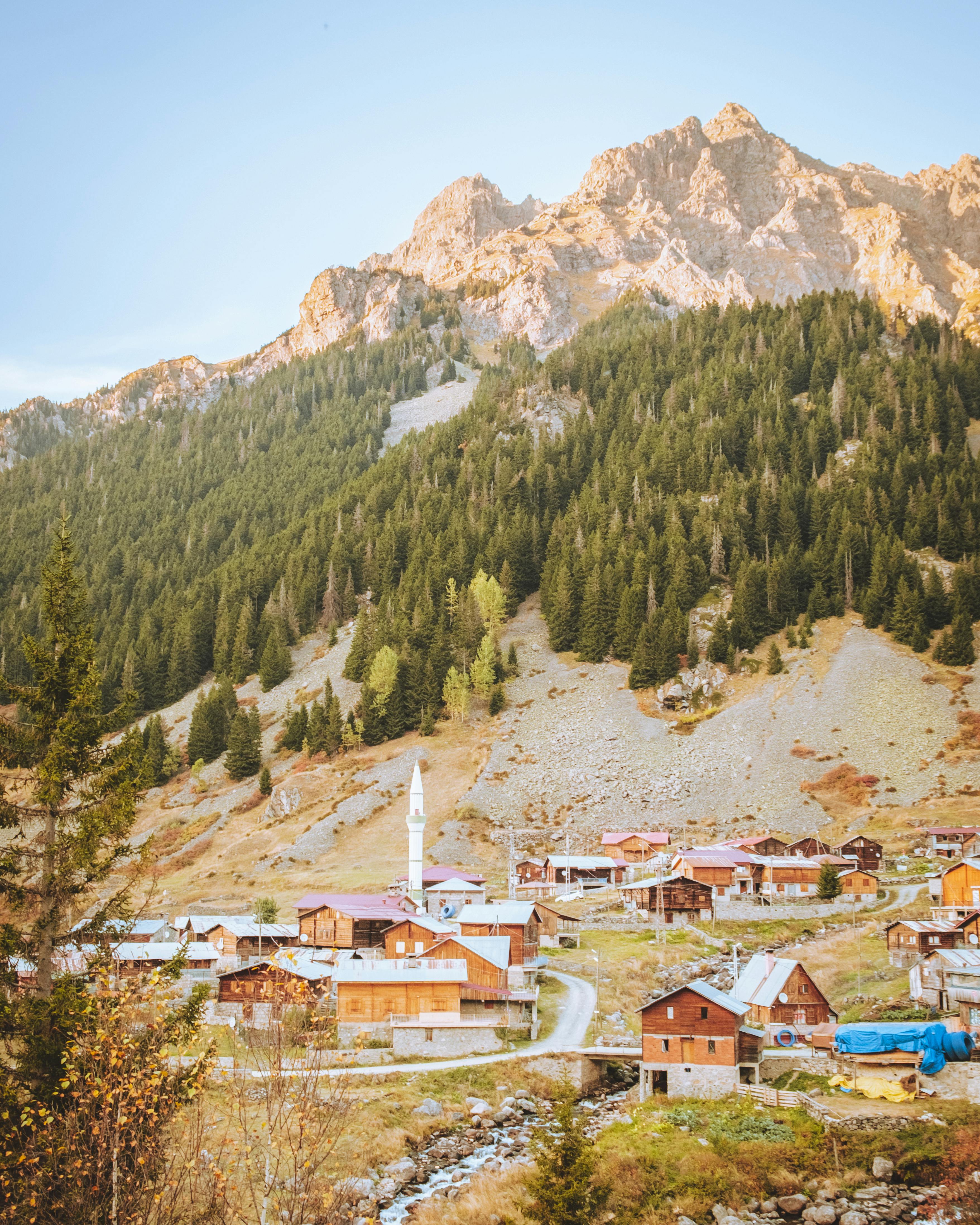 Charming village nestled in mountainous Rize, Turkey, showcasing lush forests and traditional houses.