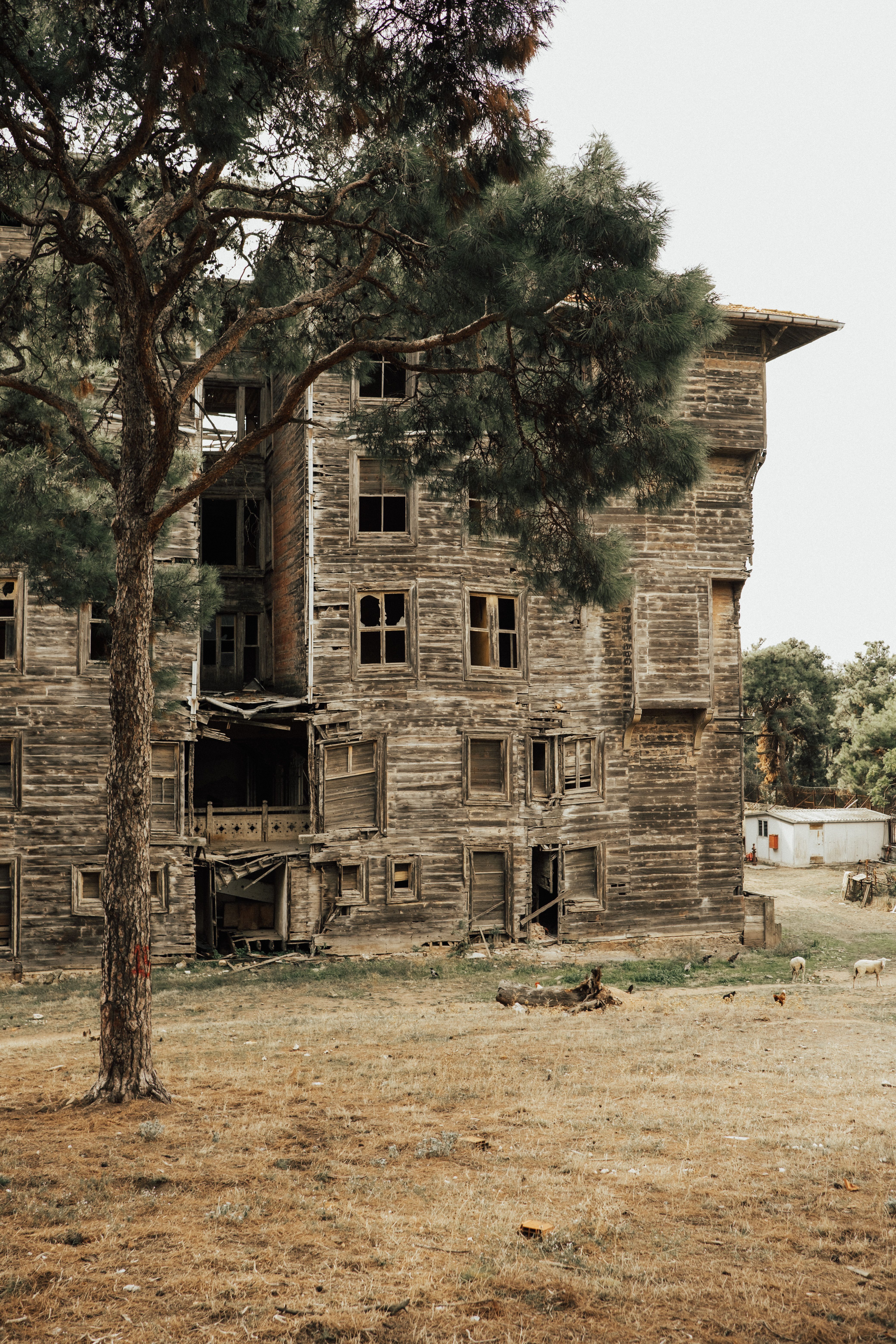 An Abandoned Wooden House on Grass Field · Free Stock Photo