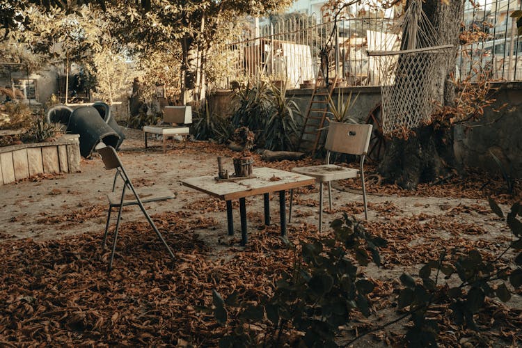 Wooden Furniture In Autumn Park