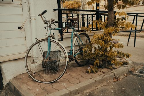 Free A weathered bicycle parked by a tree in an urban setting, exuding a vintage charm. Stock Photo