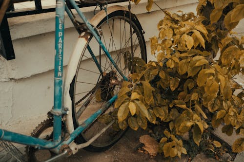 Gratuit Photos gratuites de bicyclette, centrale, feuilles Photos