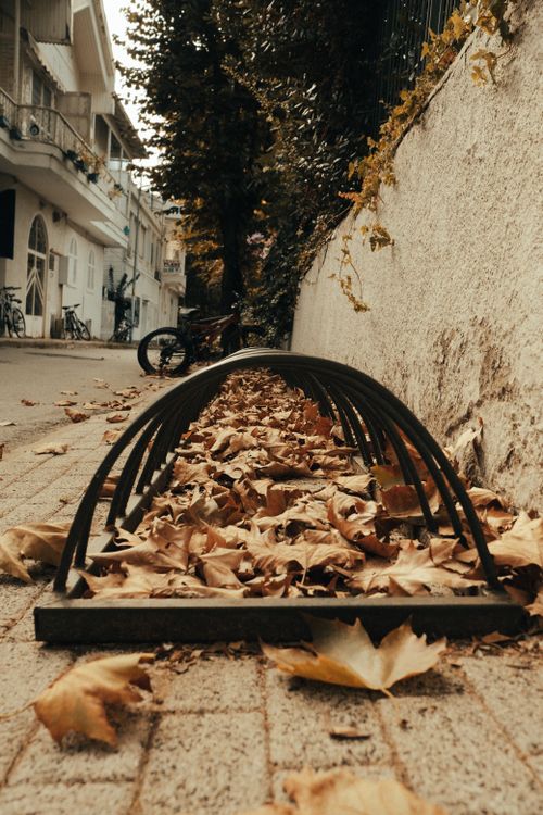 Free A bicycle stand surrounded by dry autumn leaves on a quiet urban sidewalk. Stock Photo