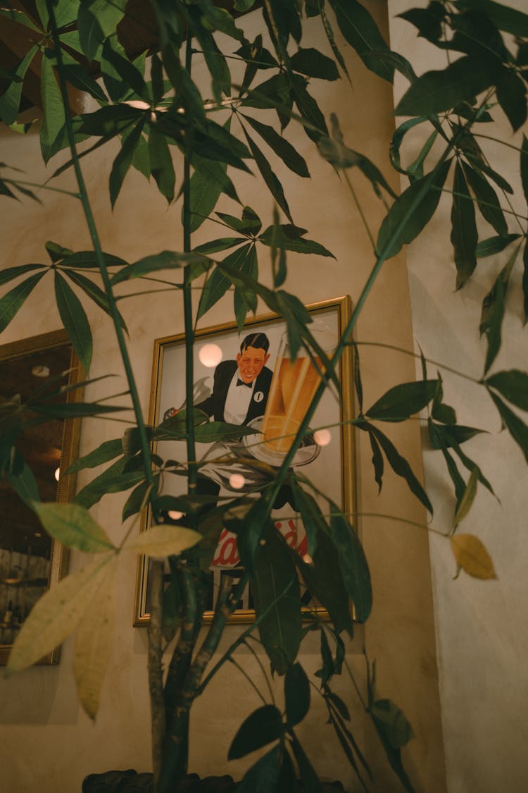 Green Plant Near The Picture Frame Hanging On The Wall 