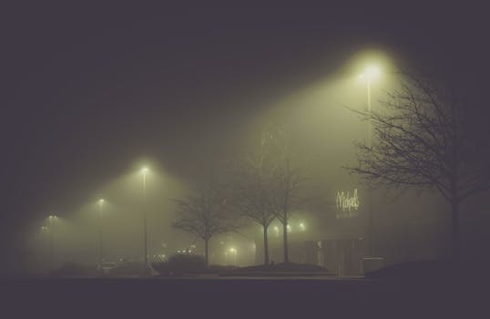 Foggy street at night with illuminated lamp posts and bare trees.