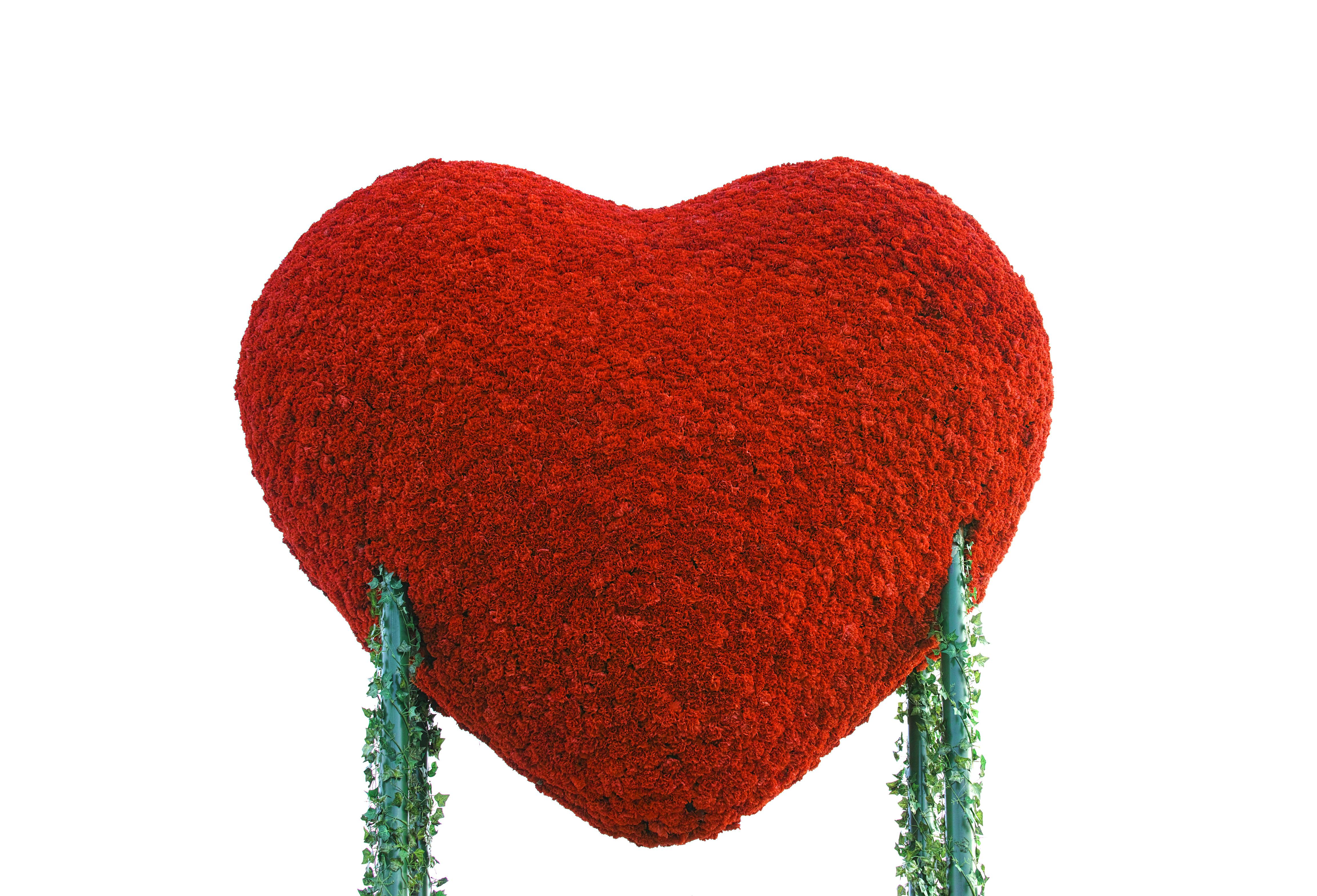 Healthy breakfast bowl with fruit, oats, and nuts