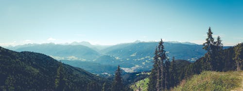 Green Pine Trees on Mountain Under Blue Sky