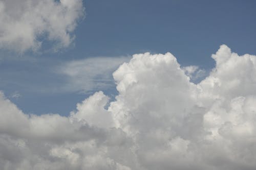 Foto profissional grátis de atraente, azul, branco