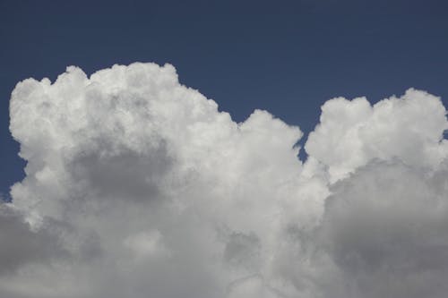 Foto profissional grátis de atraente, azul, branco