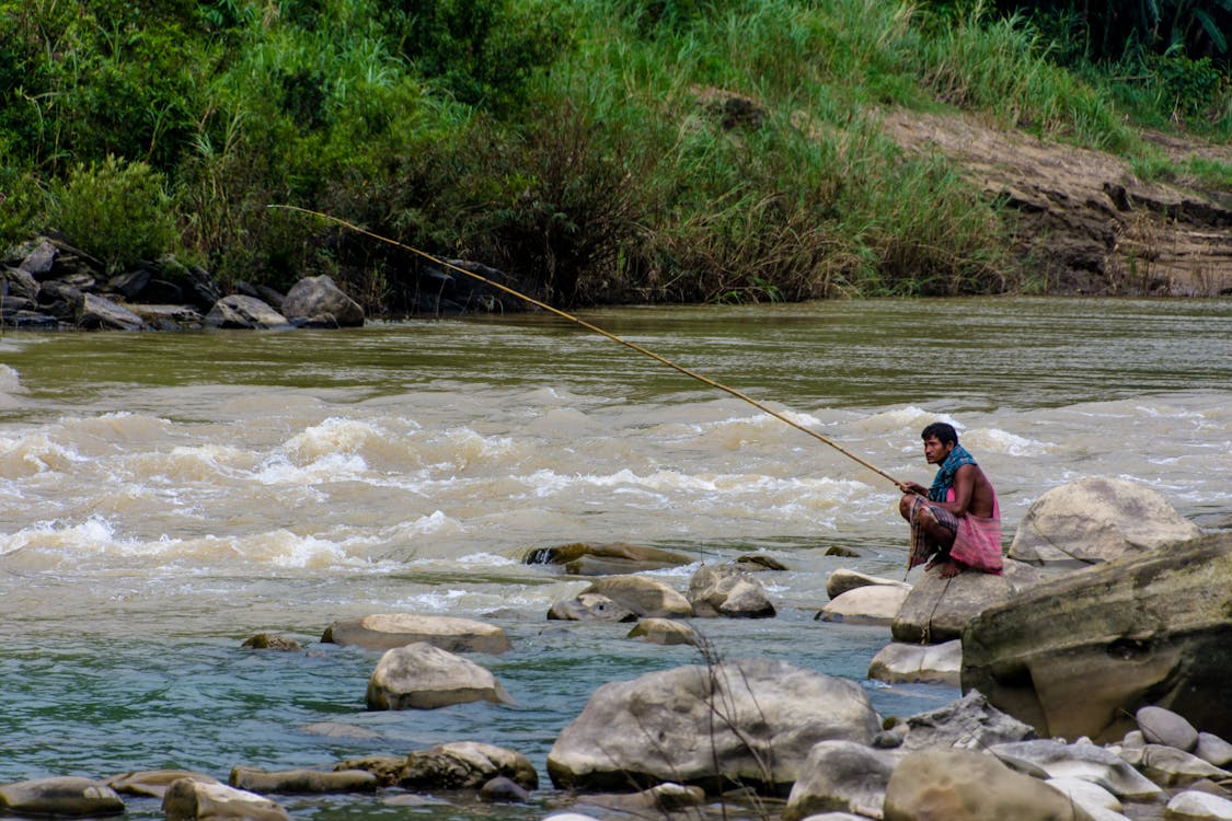 Free stock photo of fishing, life, people