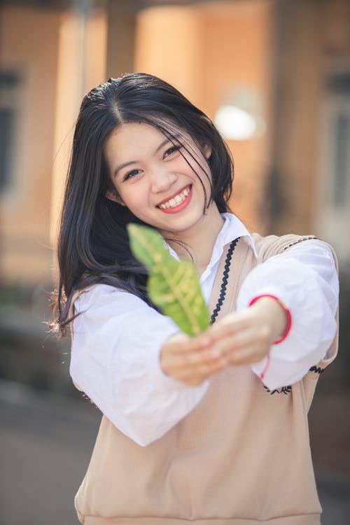 Foto profissional grátis de alegre, atraente, folha verde