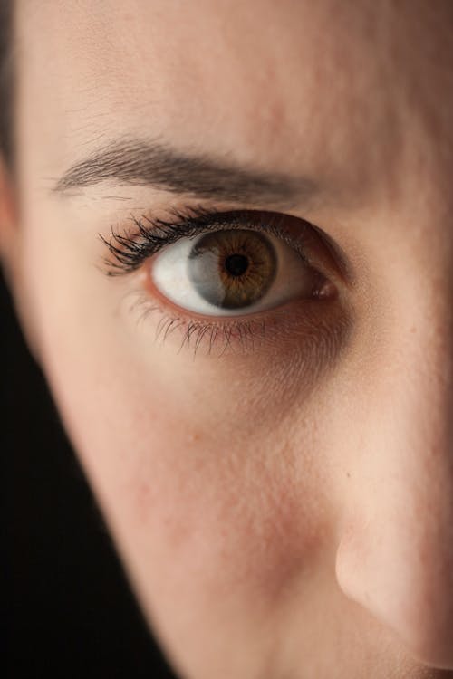 Close-up Photo of Right Person Eye