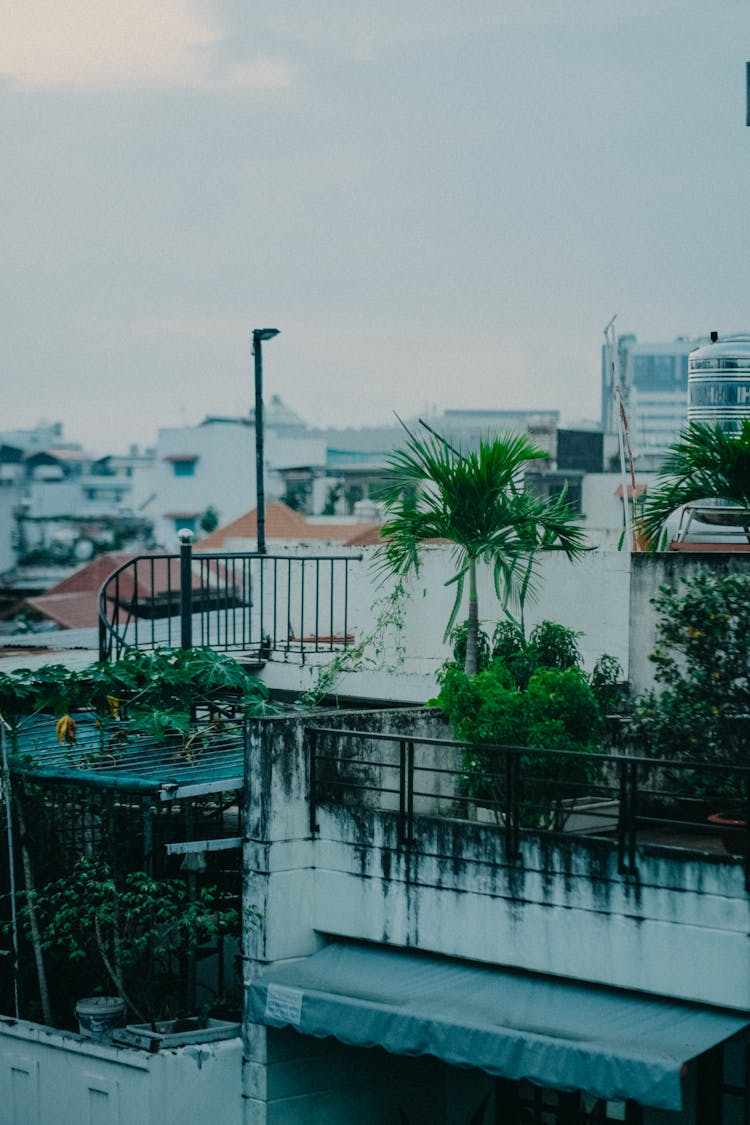 Concrete Buildings With Plants On Balconies