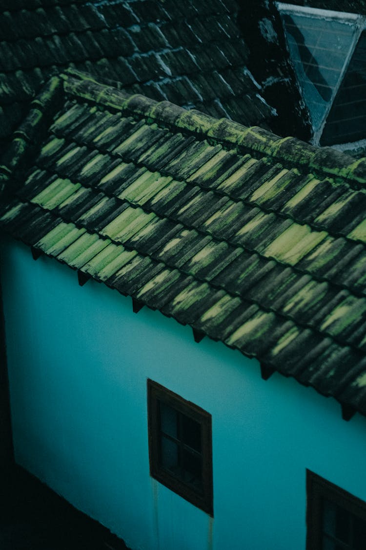 Blue Painted House With Green Roof Tiles