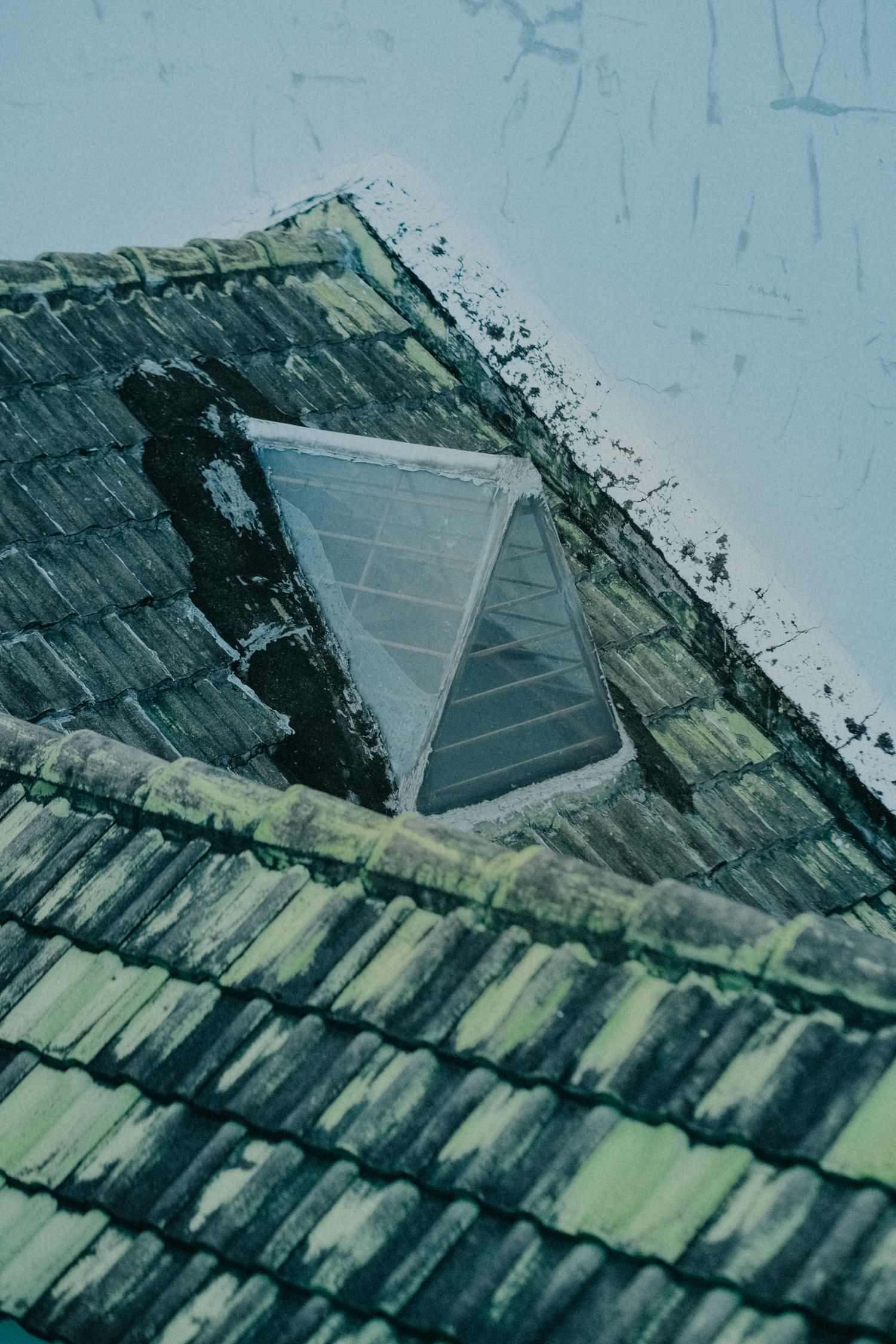 Damaged Skylight Before