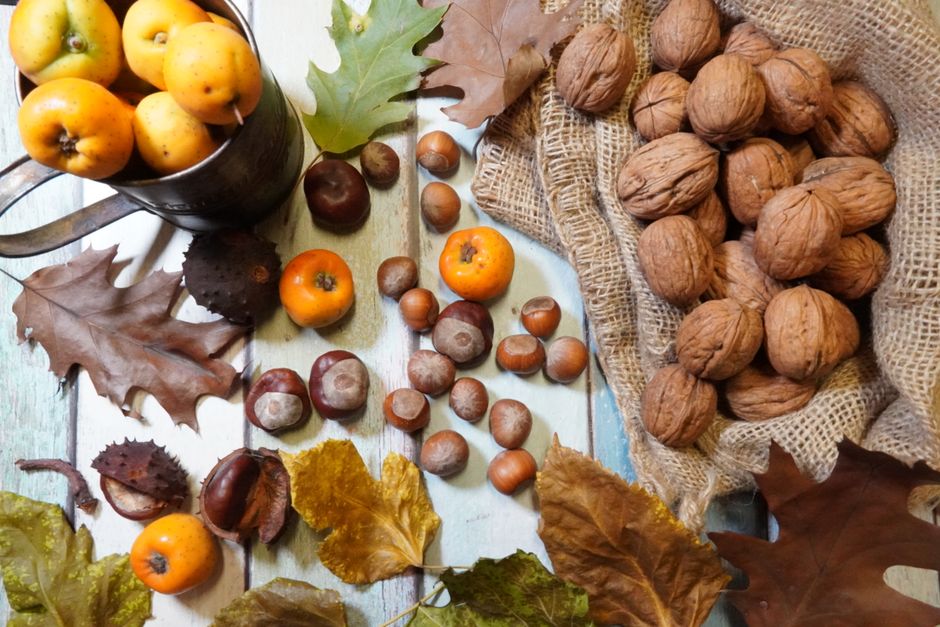 Knus herfststoofpotje met gekarameliseerde uien. Knus herfststoofpotje met gekarameliseerde uien.