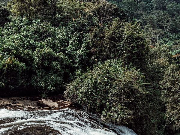 Waterfall