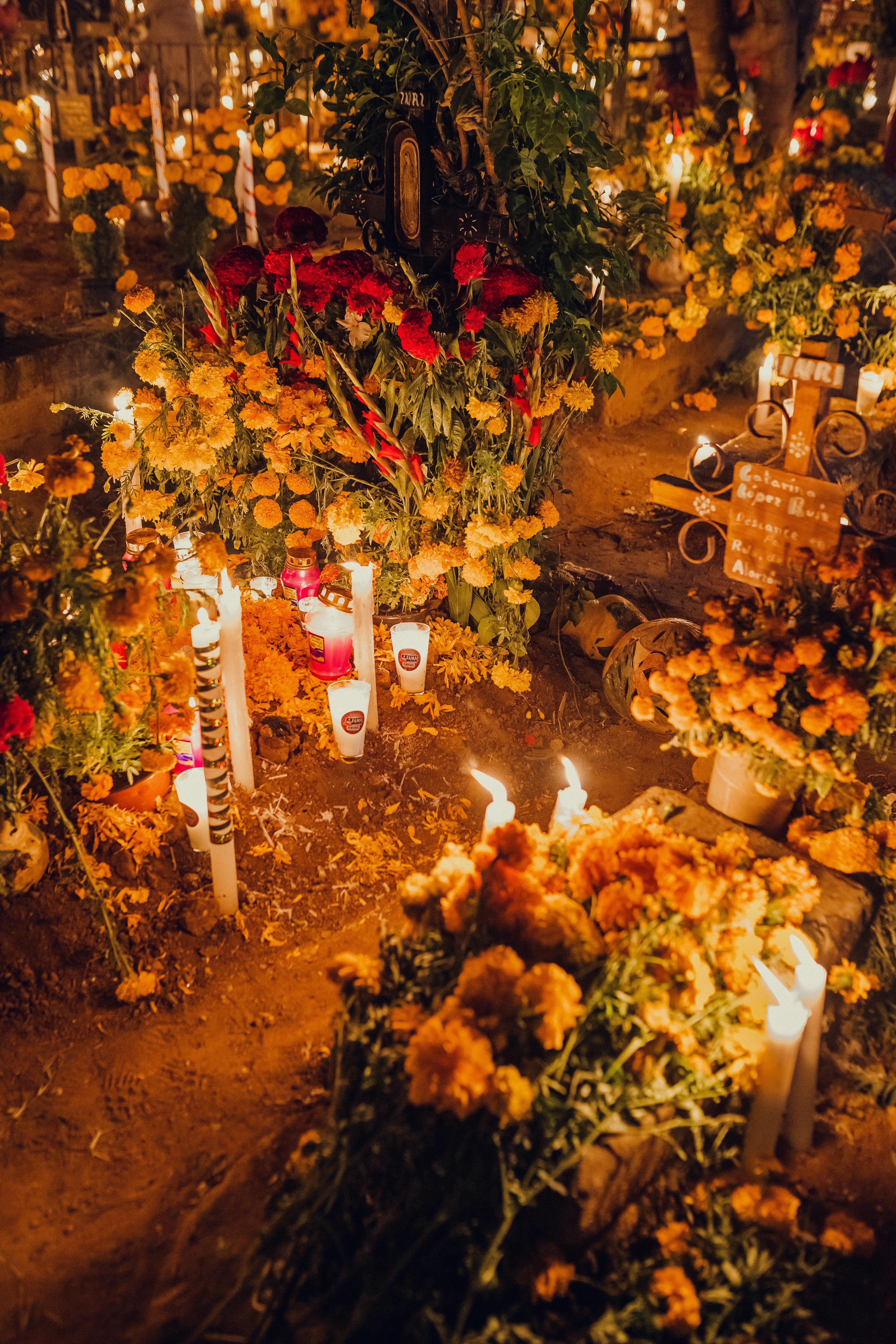 Lighted White Candles and Yellow Flowers on Graveyard in a Cemetery