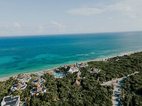 Foto d'estoc gratuïta de arbres, Costa, foto des d'un dron